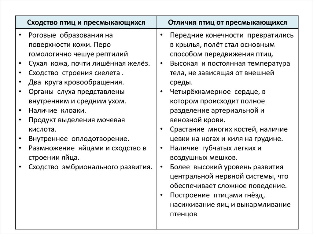 Различия птиц и рептилий. Плюсы и минусы обрения. Мужское обрезание плюсы и минусы. Плюсы и минусы обрезания обрезание у мужчин.