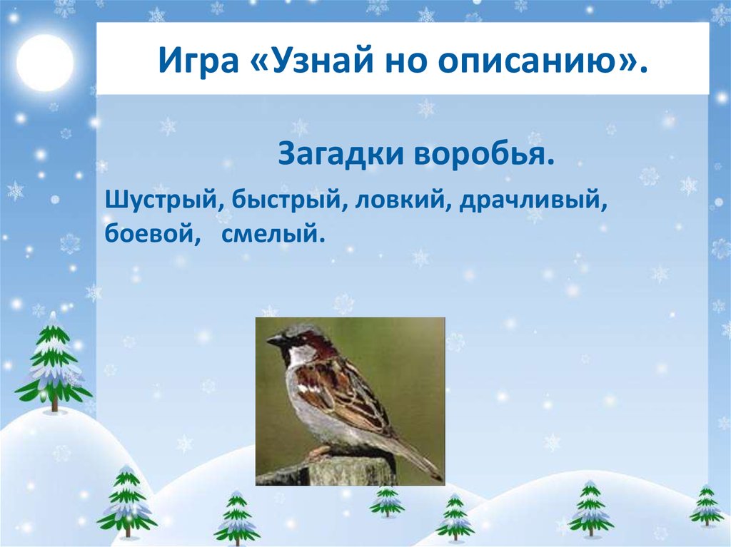 Найди или придумай загадку о воробье запиши и нарисуй