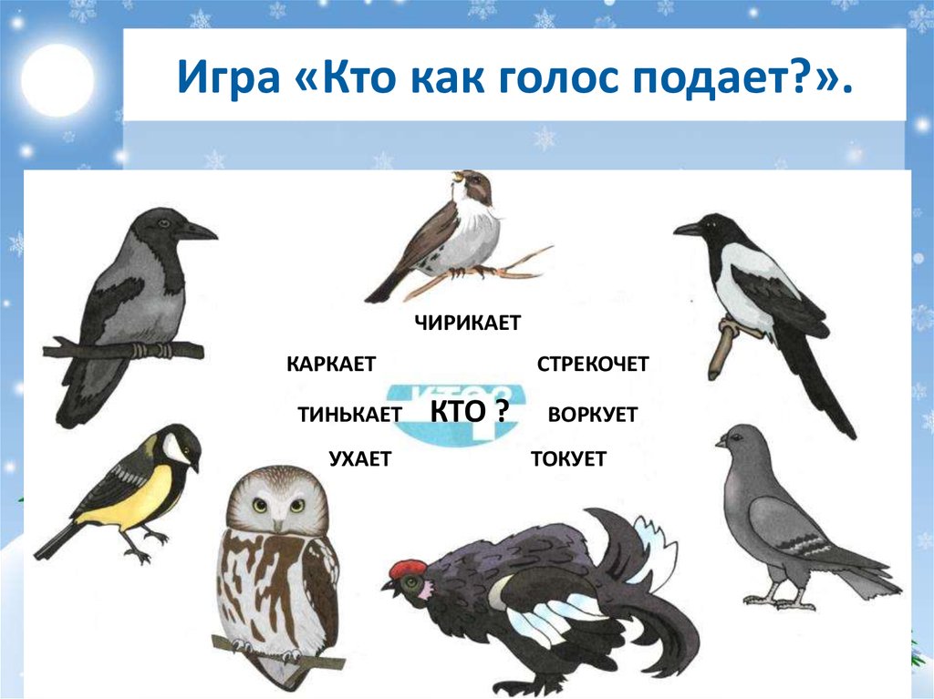 Птицы русские игры