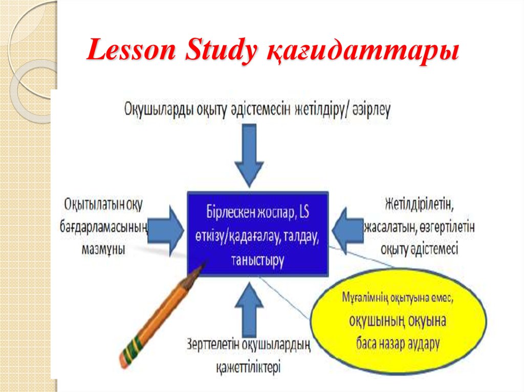 Лессон стади туралы презентация