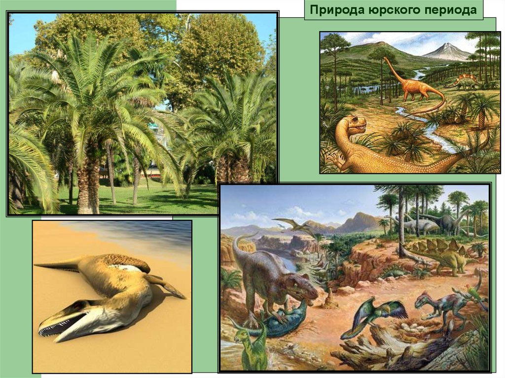 Периоды в природе. Юрский период презентация. Юрский период условия жизни. Юрский период условия неживой природы. Растения Юрского периода презентация.