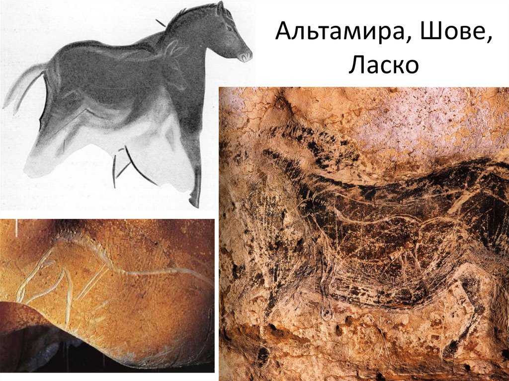 Альтамира, Шове, Ласко