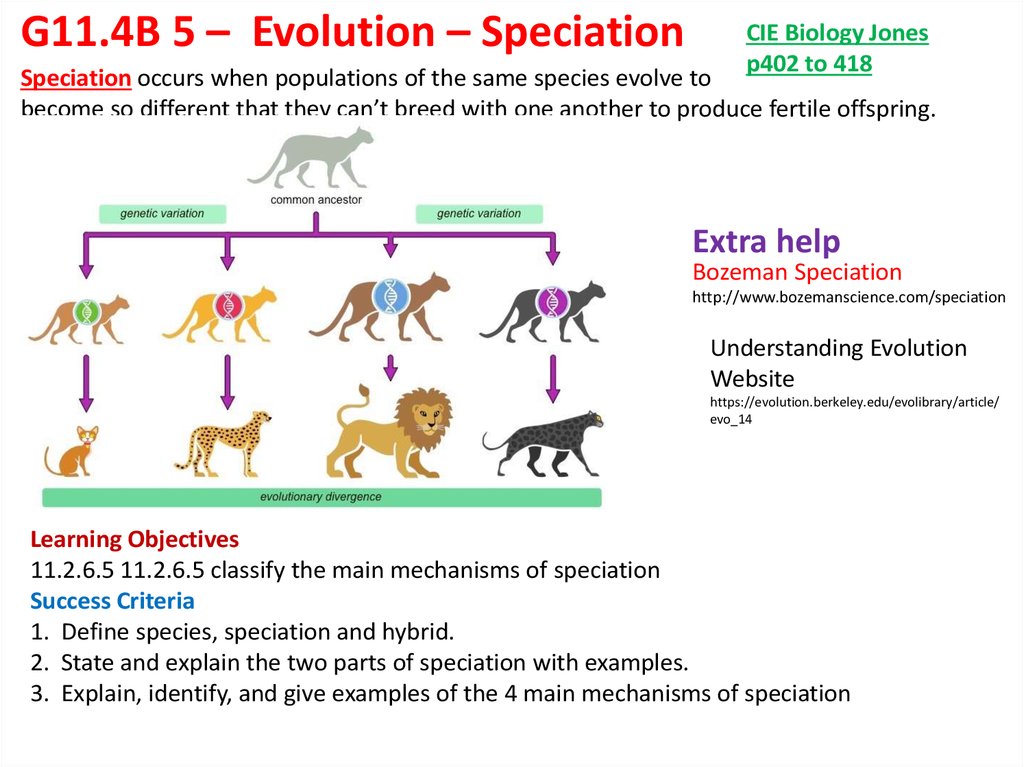 evolutionary perspective examples in real life