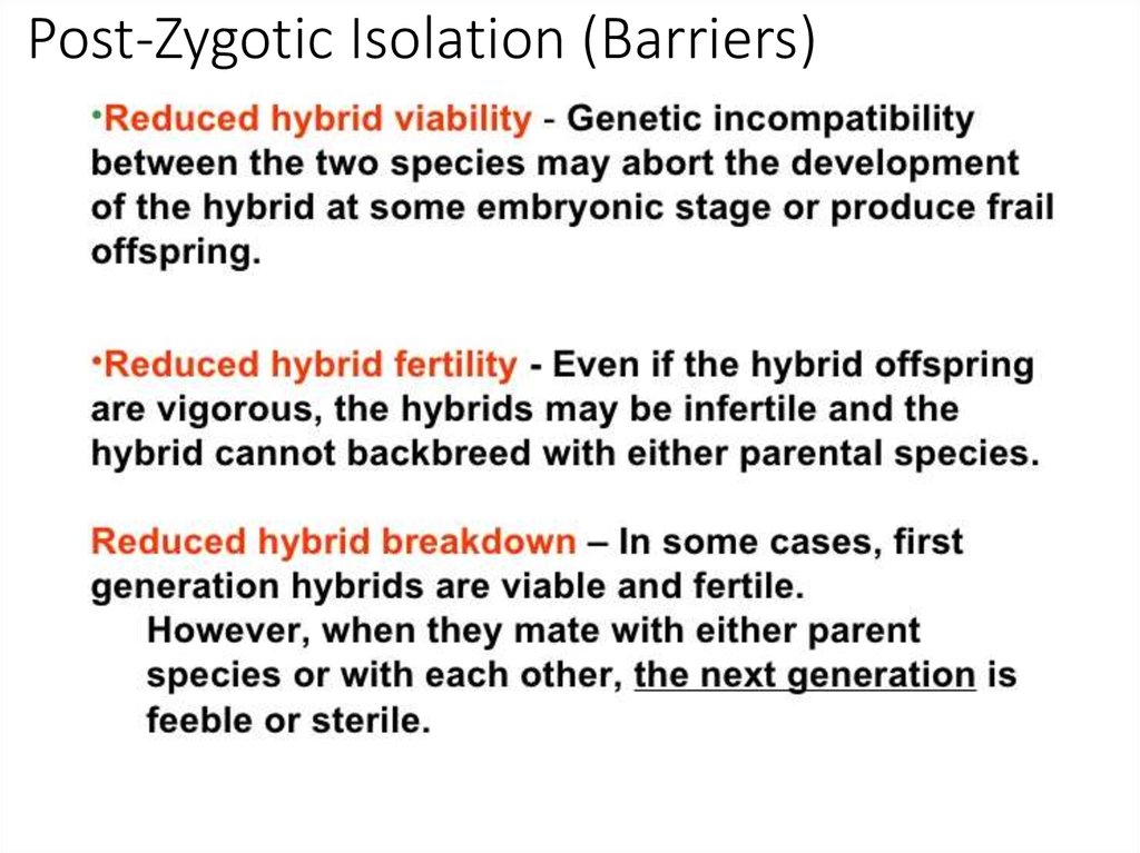 Post-Zygotic Isolation (Barriers)