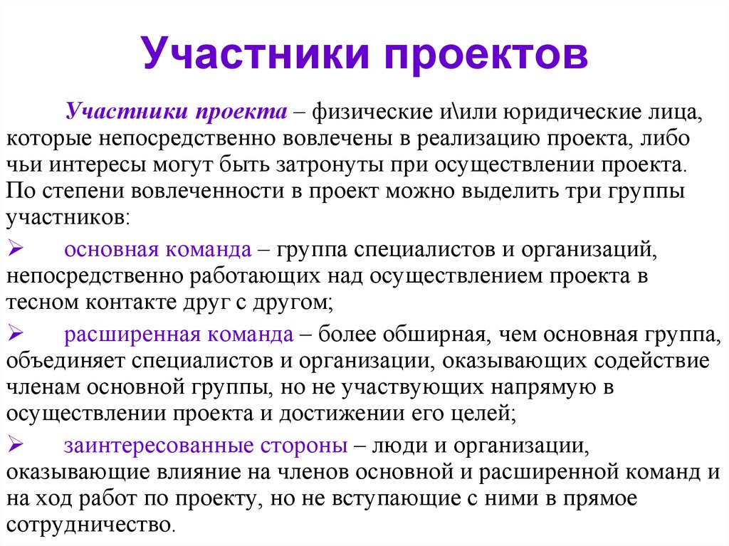 Участники проекта это лица