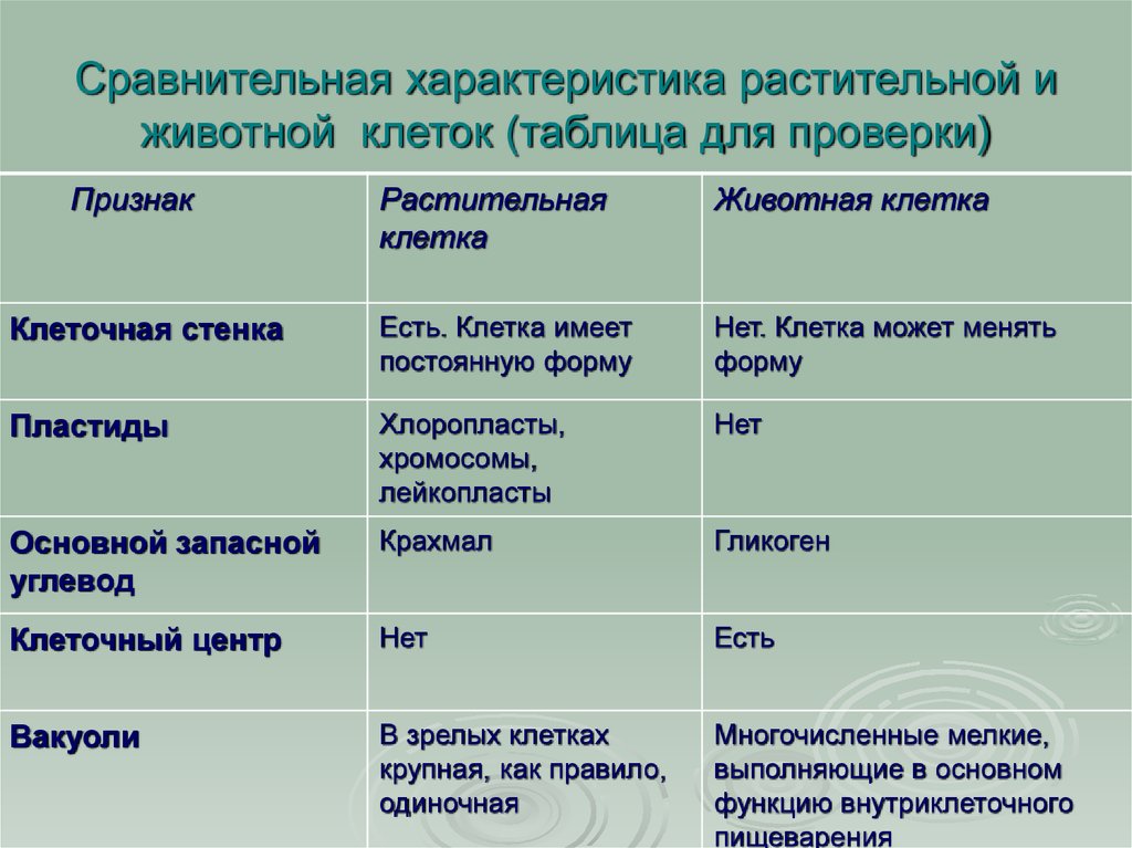 Пользуясь графическими изображениями рисунками определите какие органоиды характерны для данных