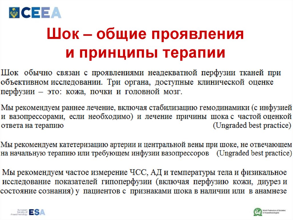 Шок – общие проявления и принципы терапии