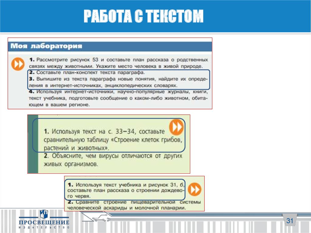 Рассмотрите рисунок 53 и составьте план рассказа о родственных связях между животными укажите место