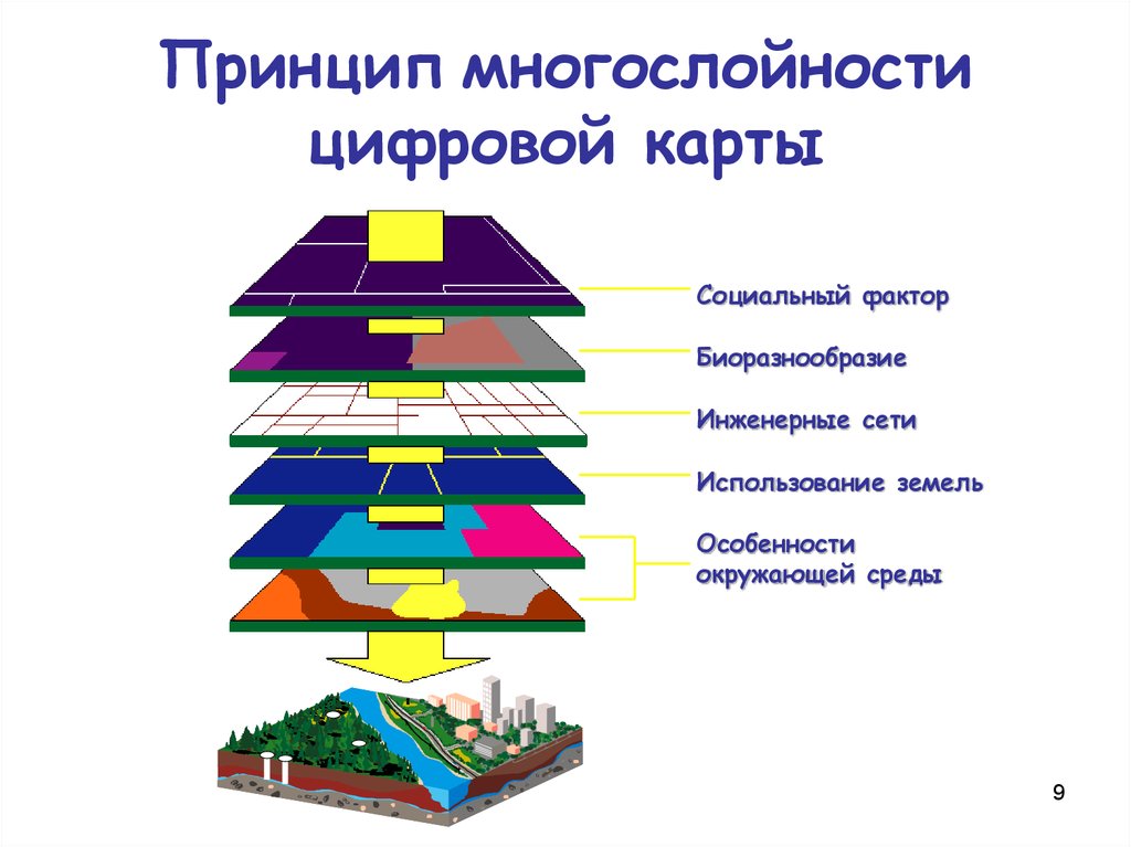 Цифровое изображение состоит из