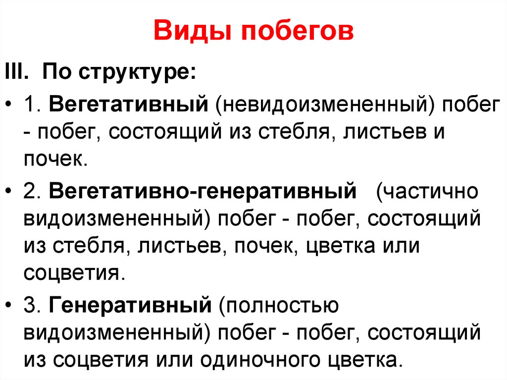 Виды побегов. Побеги по структуре. Классификация побегов по структуре. Виды побегов у растений.