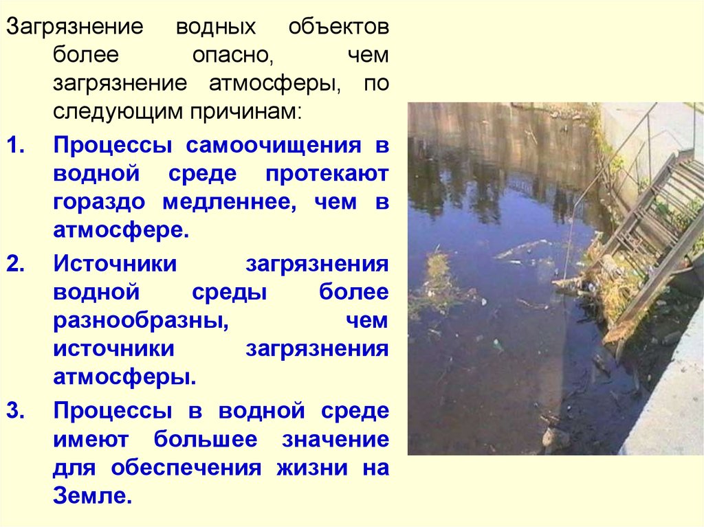 Процессы загрязнения. Источники загрязнения водных объектов. Основные источники загрязнения водных объектов. Причины загрязнения водных объектов. Процессы самоочищения водных объектов.