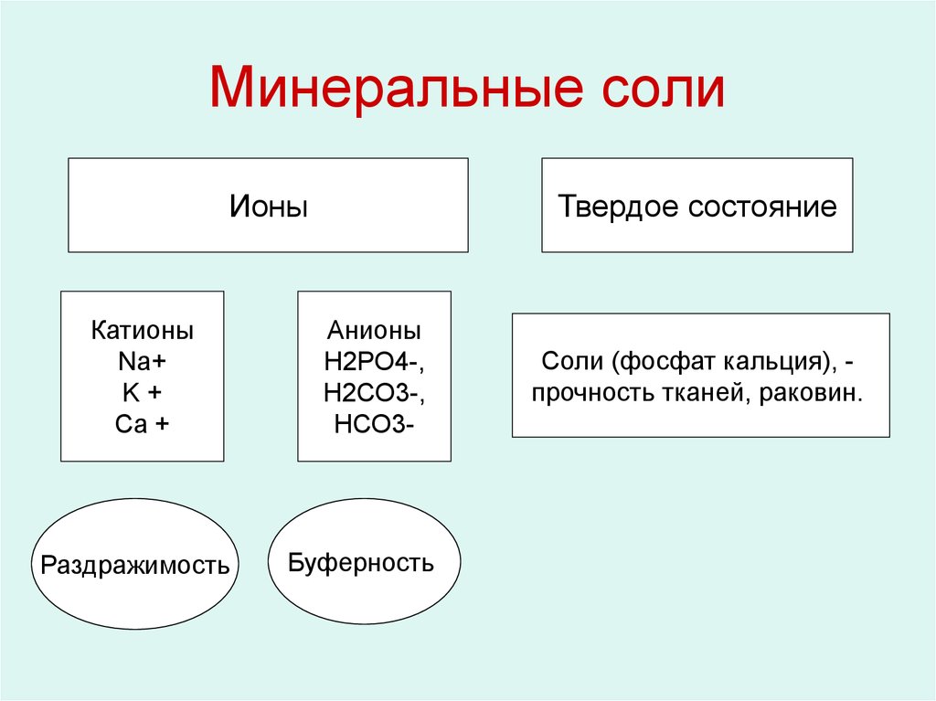 Минеральных солей. Минеральные соли свойства значение таблица. Минеральные соли функция 6 класс. Минеральные вещества соли таблица. Минеральные соли состав биология.