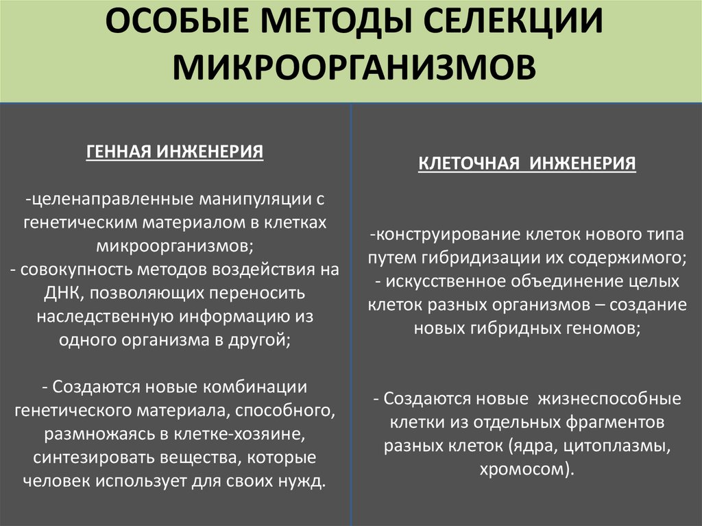 Селекция микроорганизмов презентация 11 класс