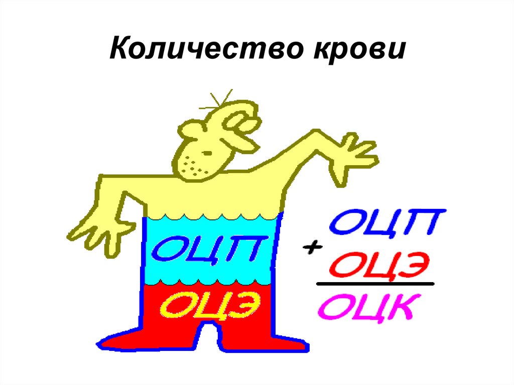 Количество крови