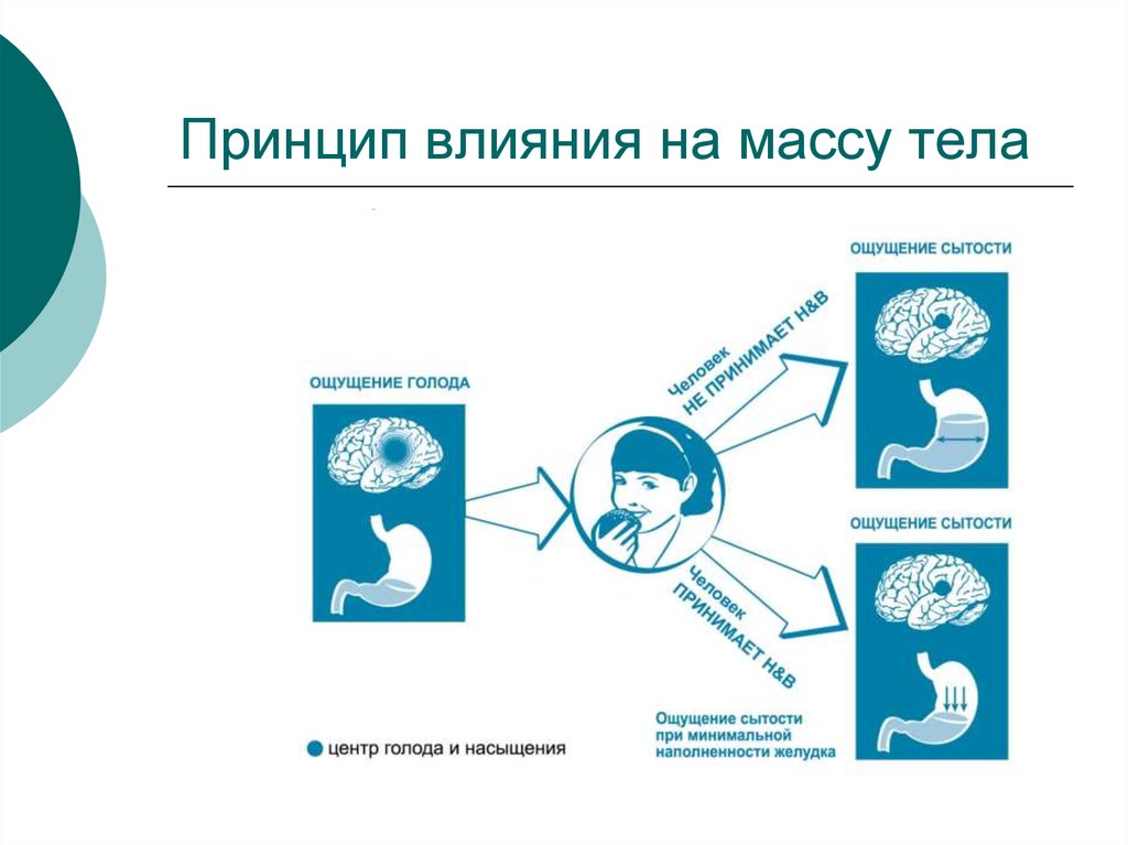 Принцип воздействия. Мотивация голода и насыщения. Принципы влияния. Пропало чувство сытости и голода. Пищевая мотивация.