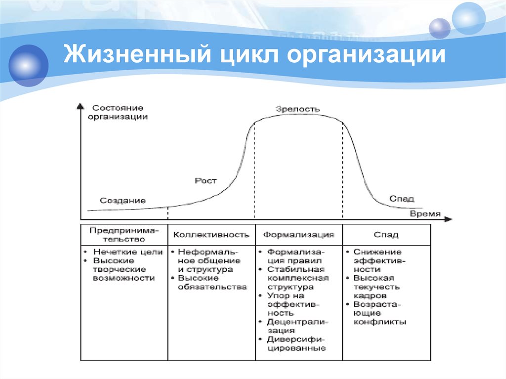 Цикл организации