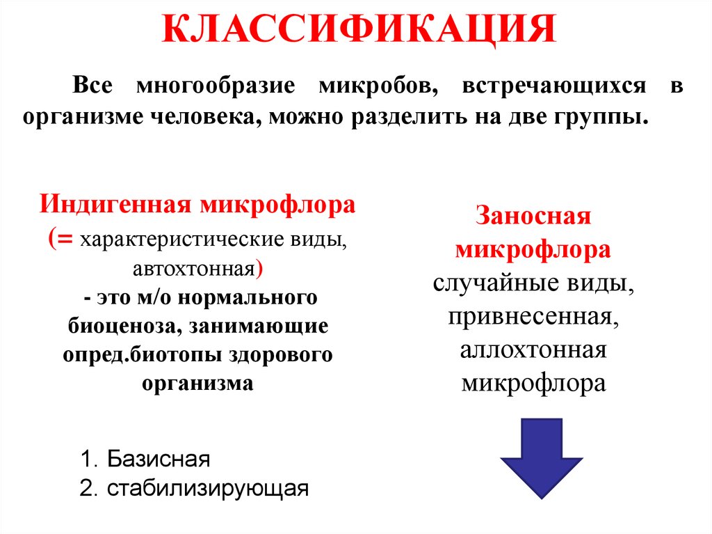 Реферат: Микрофлора тела, внешней среды и болезни птицы