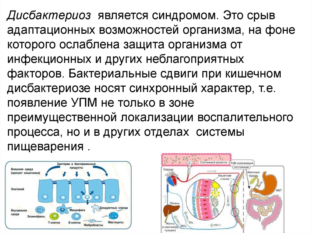 Дисбактериоз это