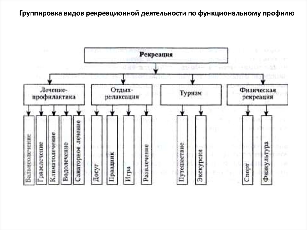 Особенности рекреационной деятельности