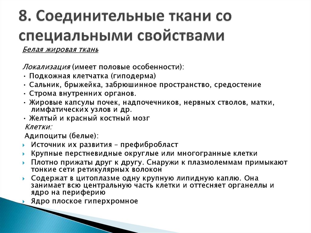 Специальная характеристика