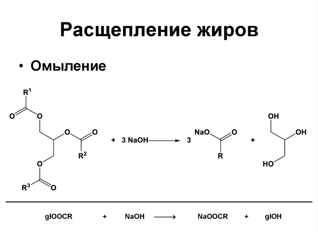 Жир вода реакция