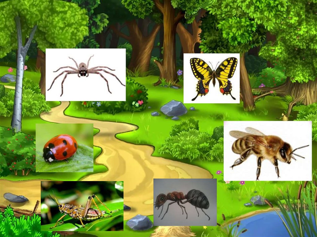 Интерактивная экологическая игра. Экологические игры. Путешествие по экологической тропинке. Насекомые леса для детей. Экологическая тропа насекомые.