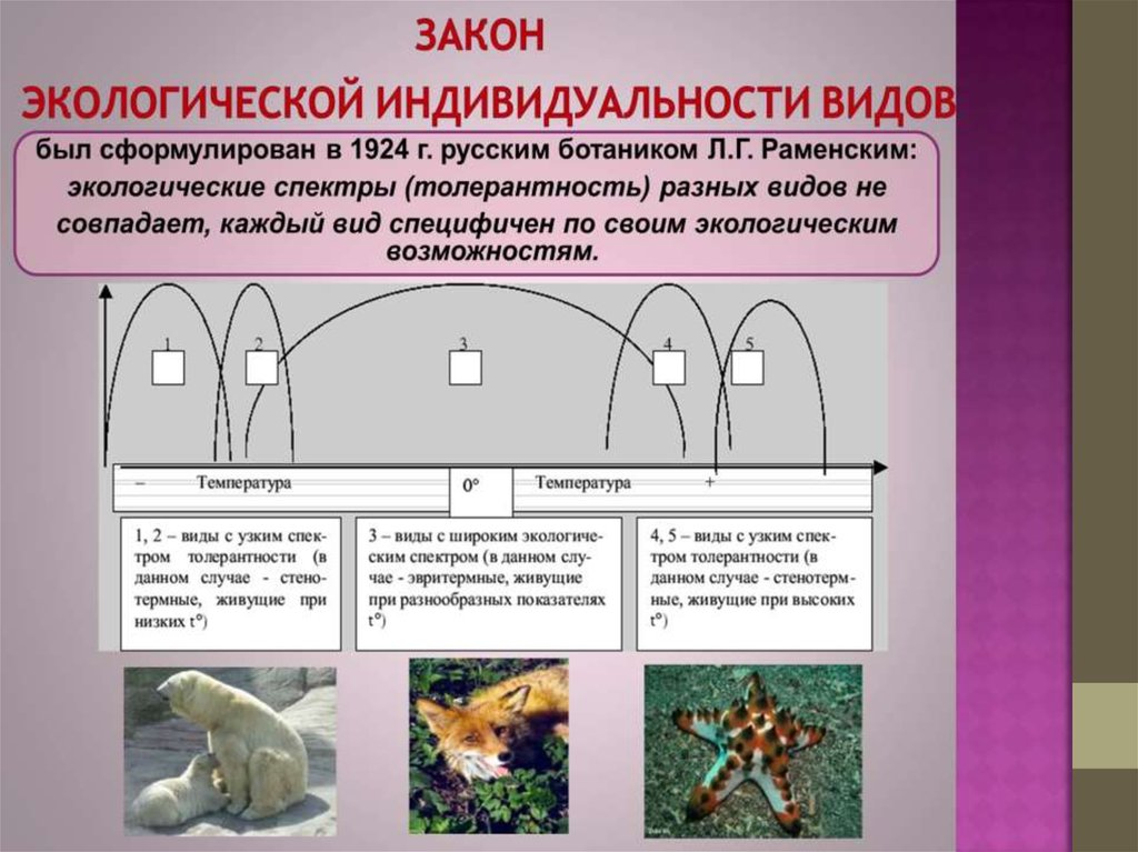 Установите соответствия факторов среды