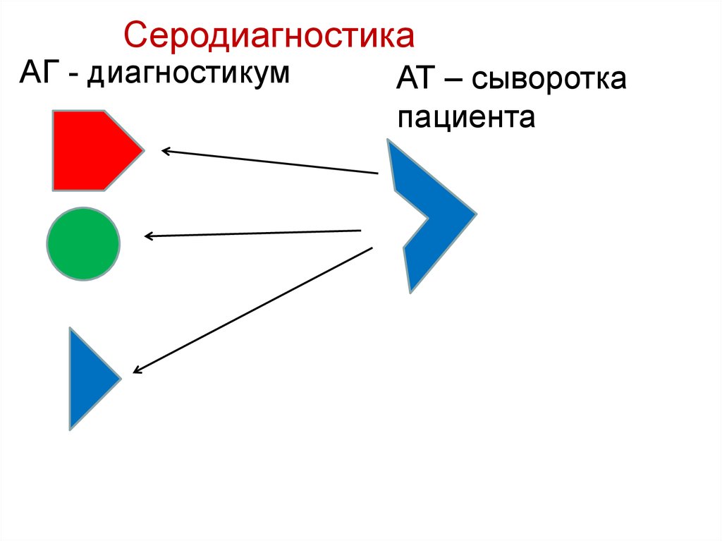 Адаптивный ответ