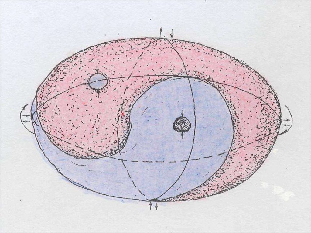 Жизненная энергия ЦИ