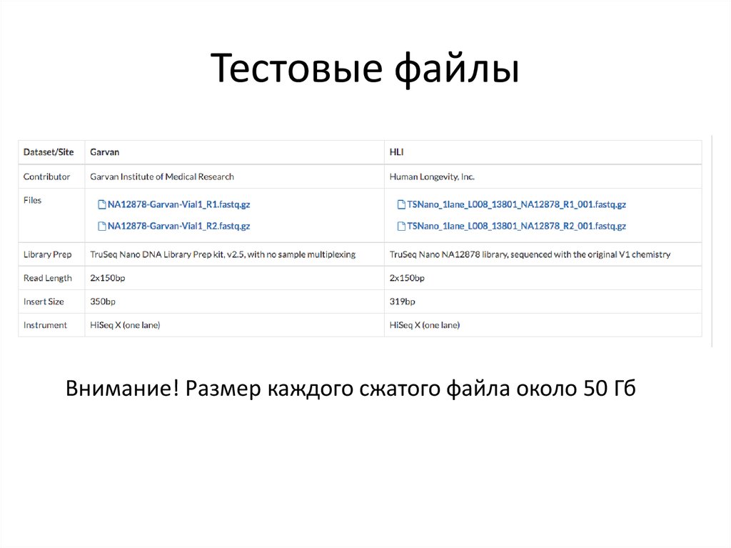 Тестовые файлы