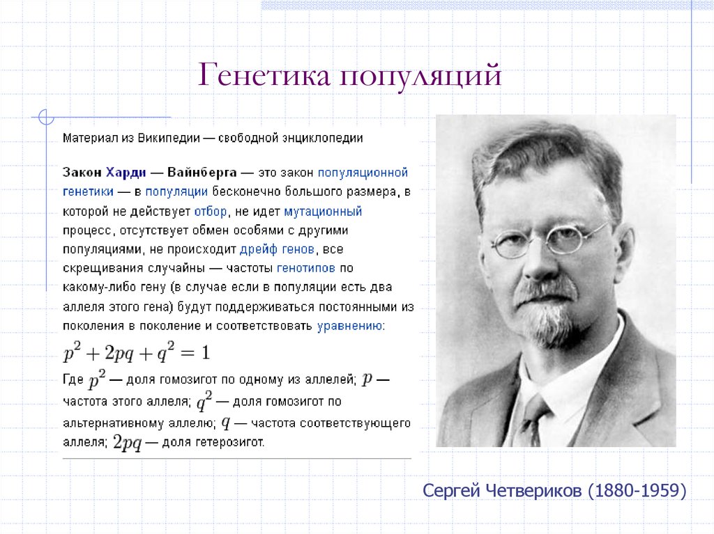 Генетика понятно. Четвериков генетика популяций. Популяционная генетика. Основоположник популяционной генетики. Формирование генетики популяций с. с. Четвериков.