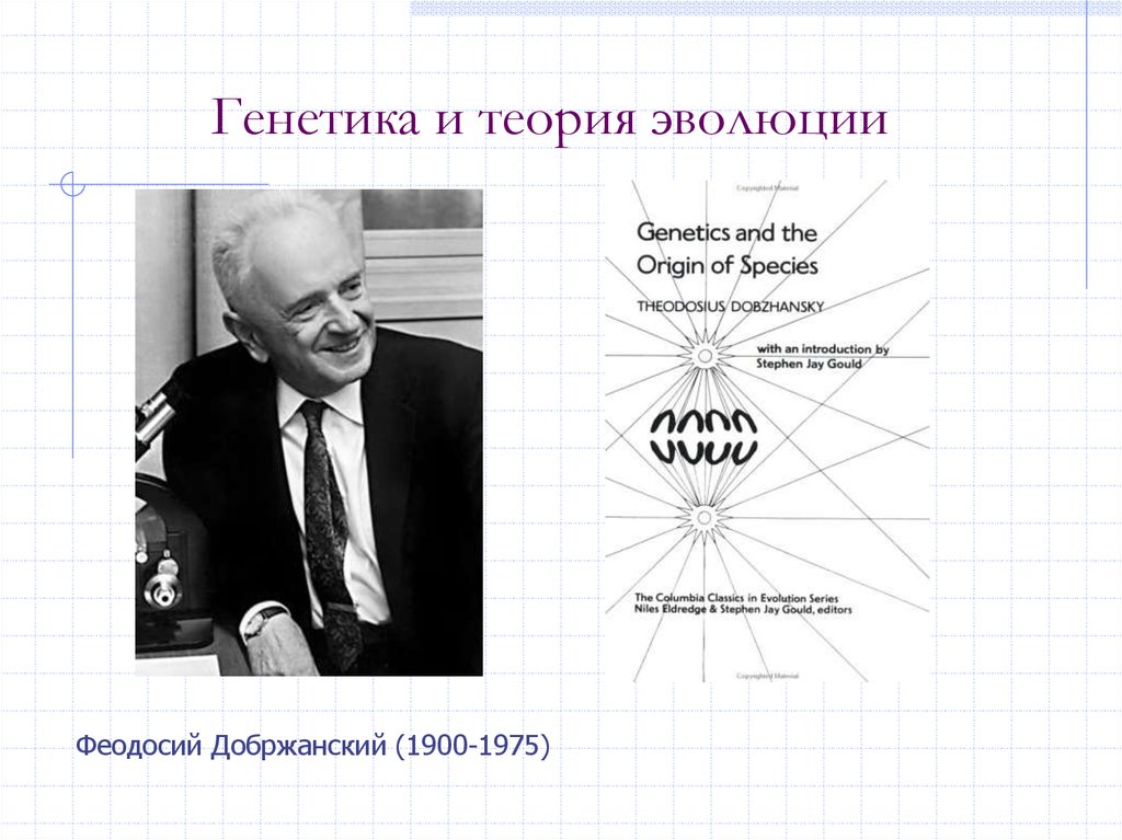 Генетическая теория. Добржанский теория эволюции. Теория генетики. Эволюционная генетика. Генетическая теория эволюции.