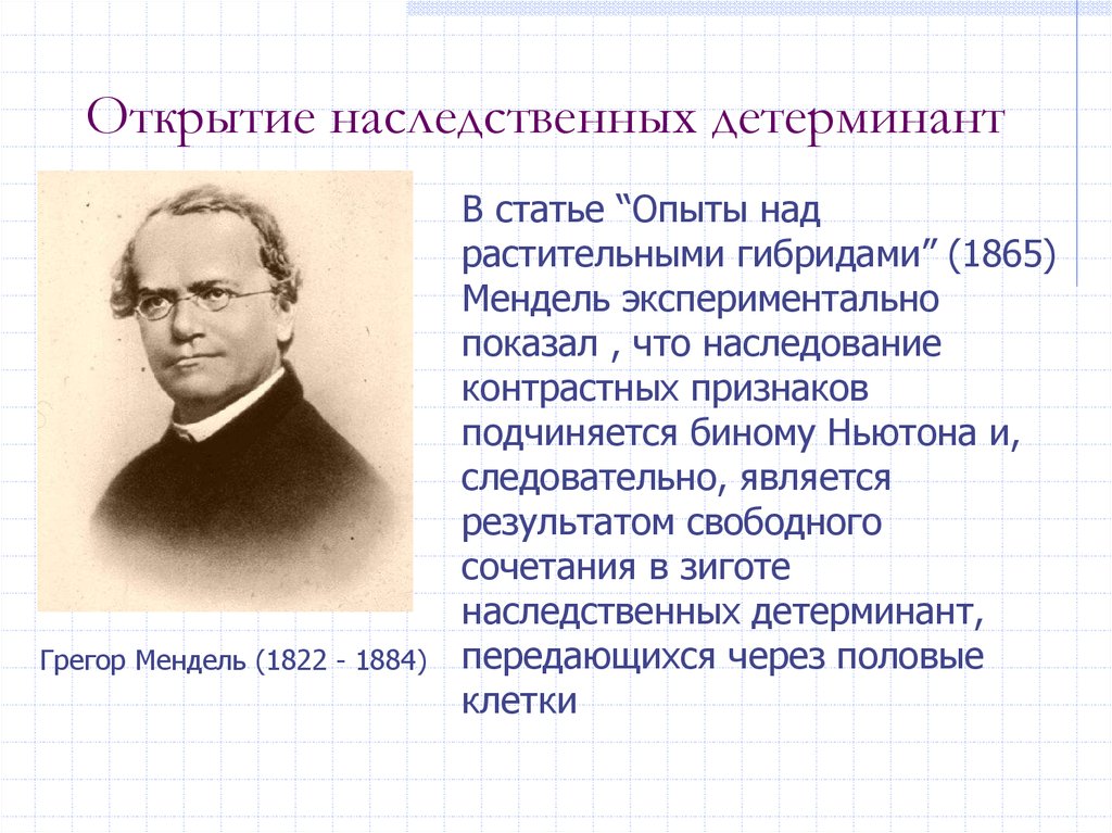 Открытие наследственного. Мендель и Морган. 1865 Мендель. Грегор Мендель открытия. Опыты над растительными гибридами Мендель.