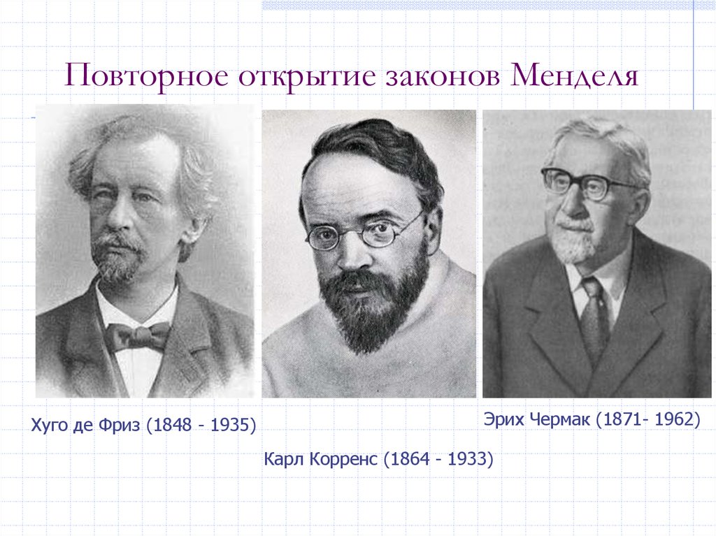 Хуго де фриз. Гуго де фриз Корренс Чермак. Карл Корренс генетика. Эрих Чермак-Зейзенегг. Эрих Чермак генетика.