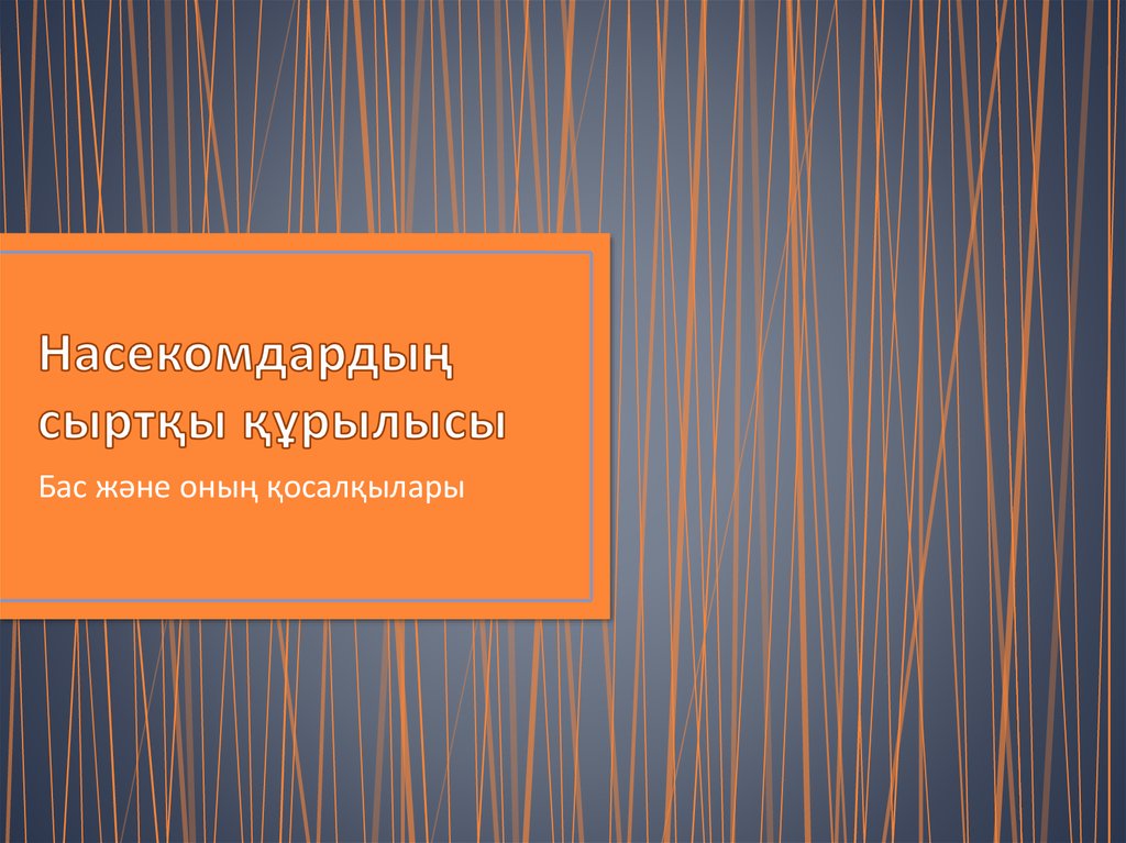 Насекомдардың сыртқы құрылысы