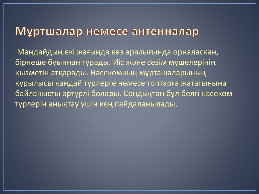 Мұртшалар немесе антенналар