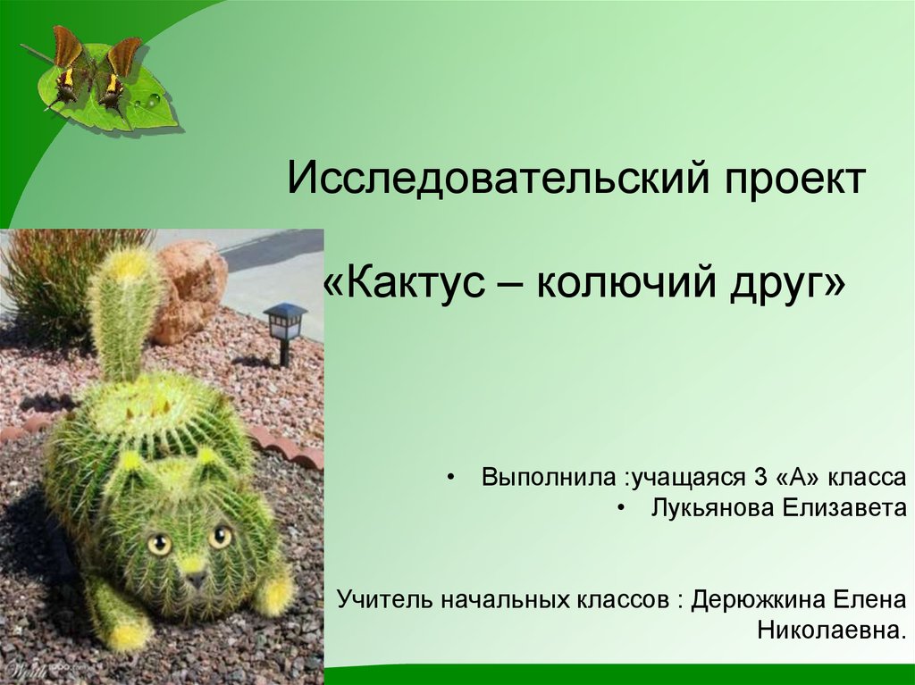 Кактус колючий друг проект