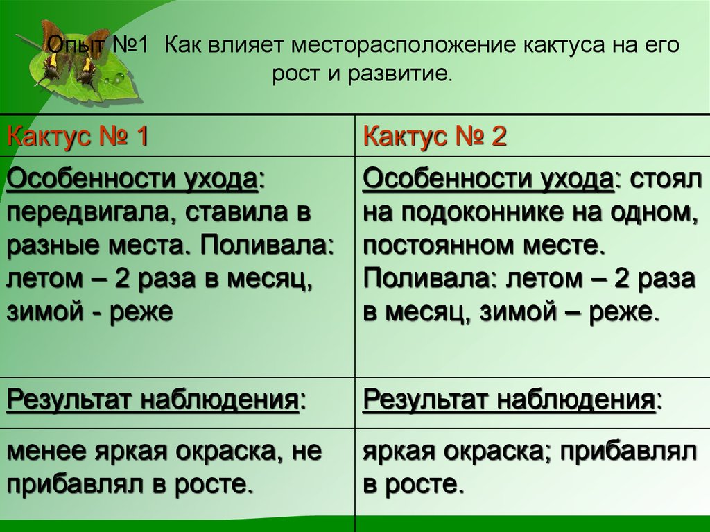 Проект кактус колючий друг 3 класс