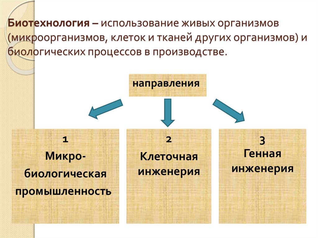 Биотехнология как отрасль производства презентация 10 класс