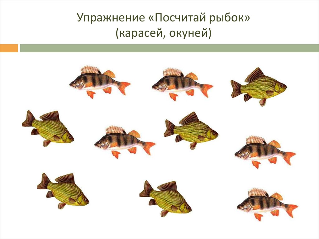 Игры по теме рыбы. Задания на тему Пресноводная рыба. Рыбы задания для дошкольников. Математические рыбки. Пресноводные и аквариумные рыбы задания.