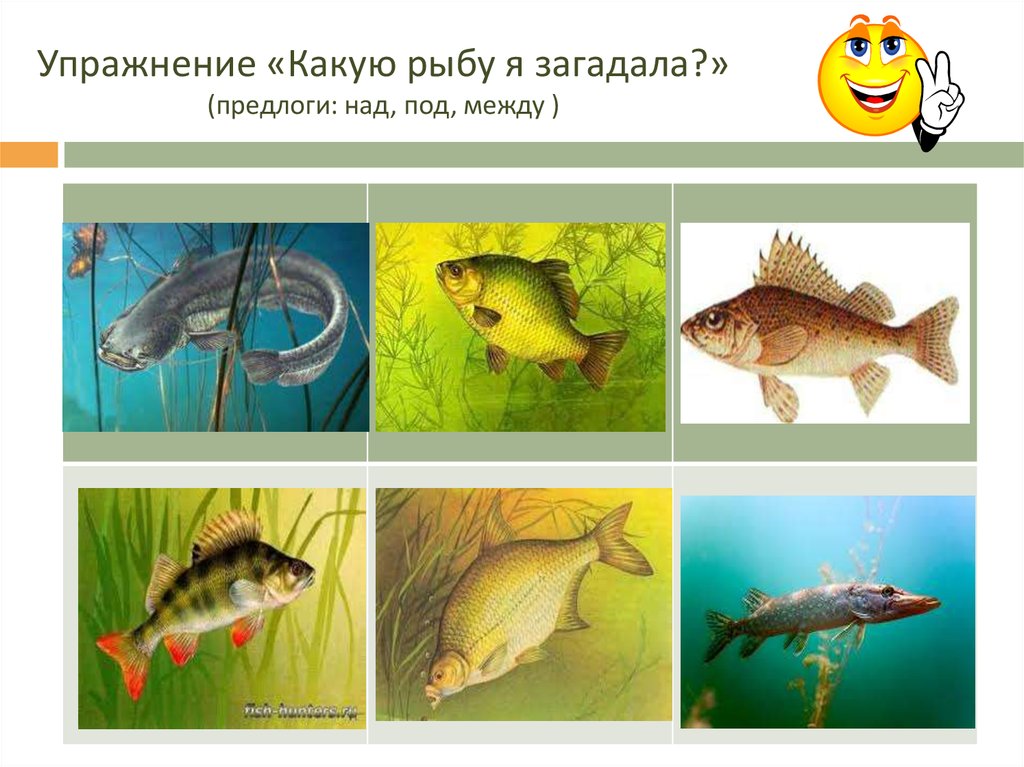 Между какими рыба. Игрушки пресноводных рыб. Рыбы предлоги. Предлоги Fish.