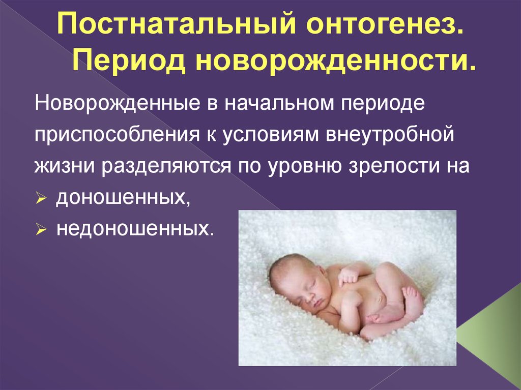 Период новорожденности период младенчества