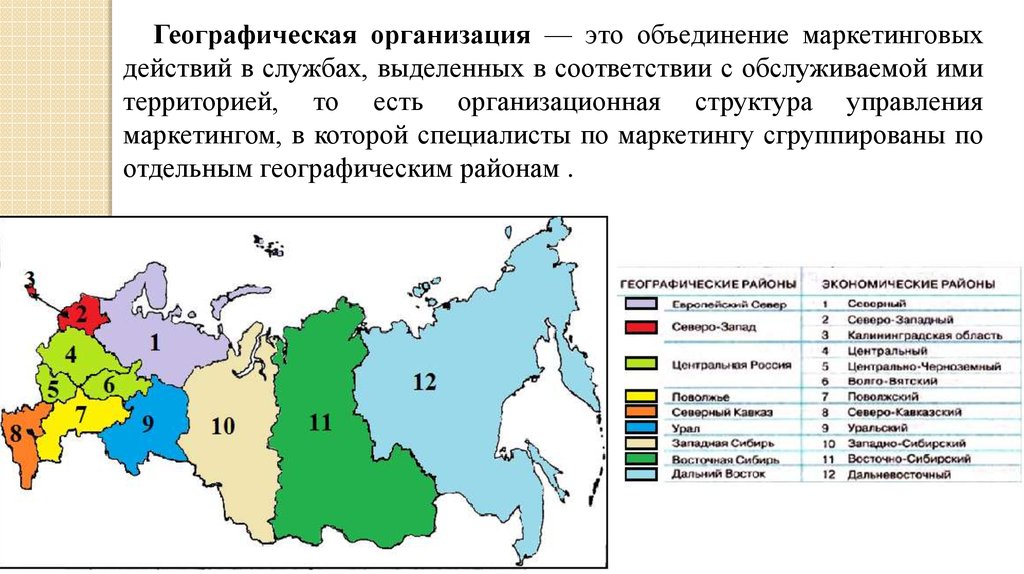 Организационная структура, построенная по географическому принципу ...