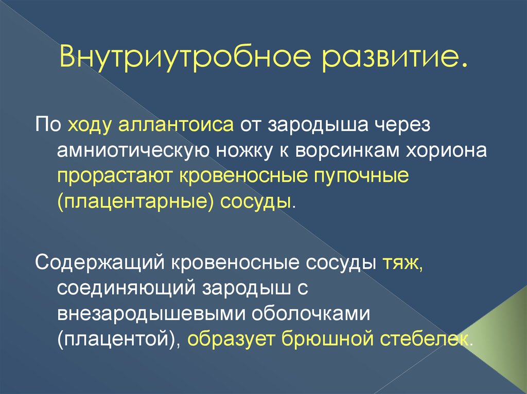 Онтогенез критические периоды развития. Критические периоды внутриутробного развития. Внутриутробный онтогенез.