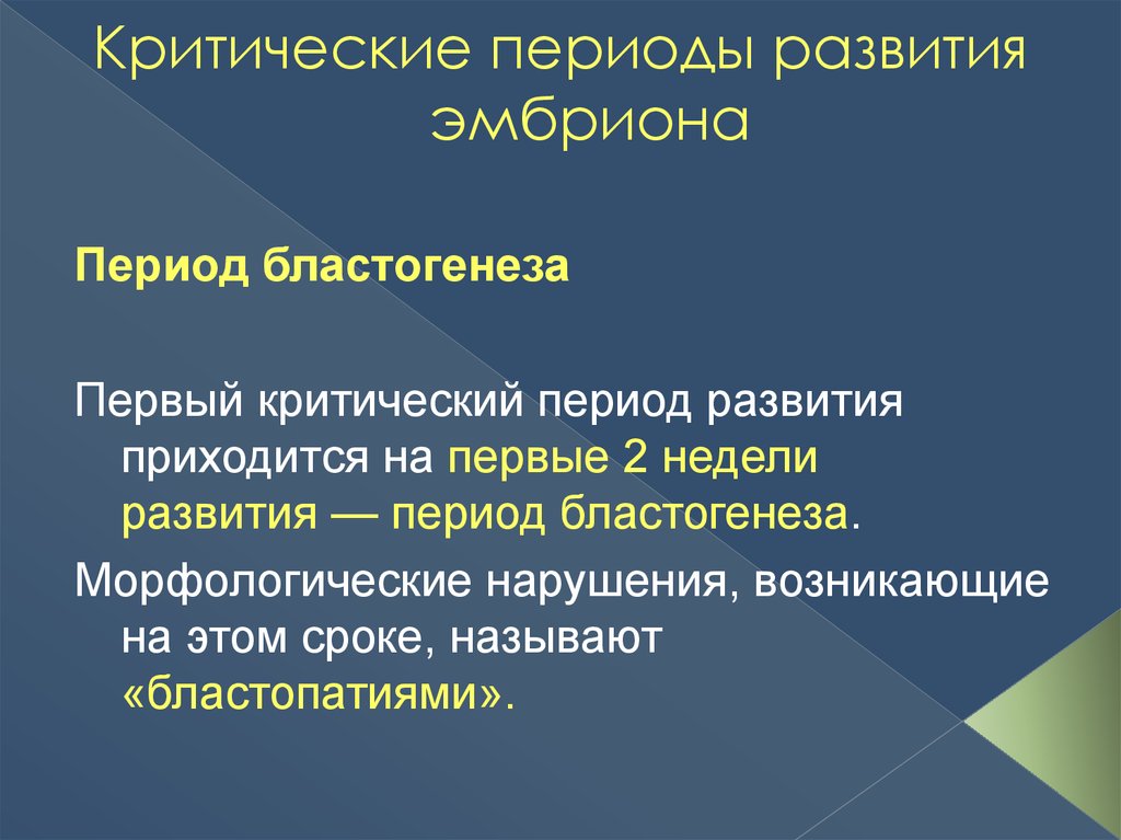 Критические периоды развития плода презентация