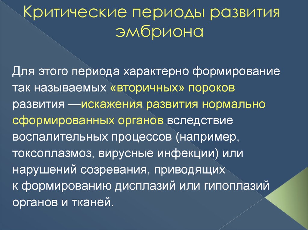 Онтогенез критические периоды развития. Критические периоды развития плода. Критические периоды развития зародыша. Критические периоды в онтогенезе человека. Периоды внутриутробного развития.