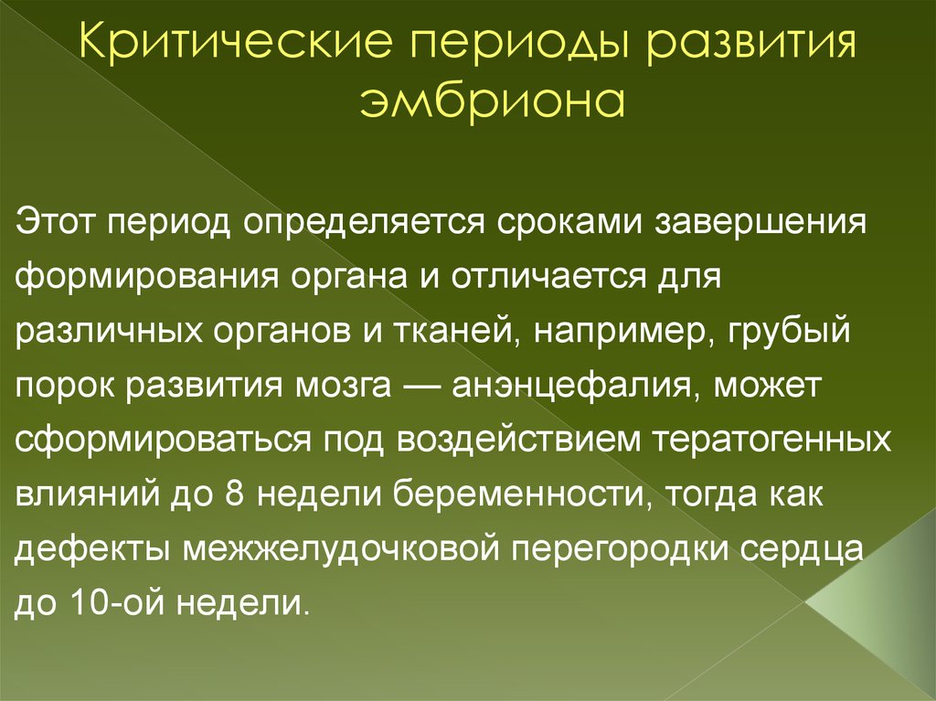 Критические периоды развития плода презентация