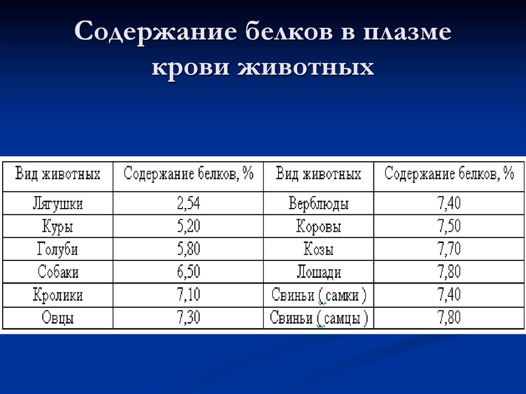 Содержание белка в белке