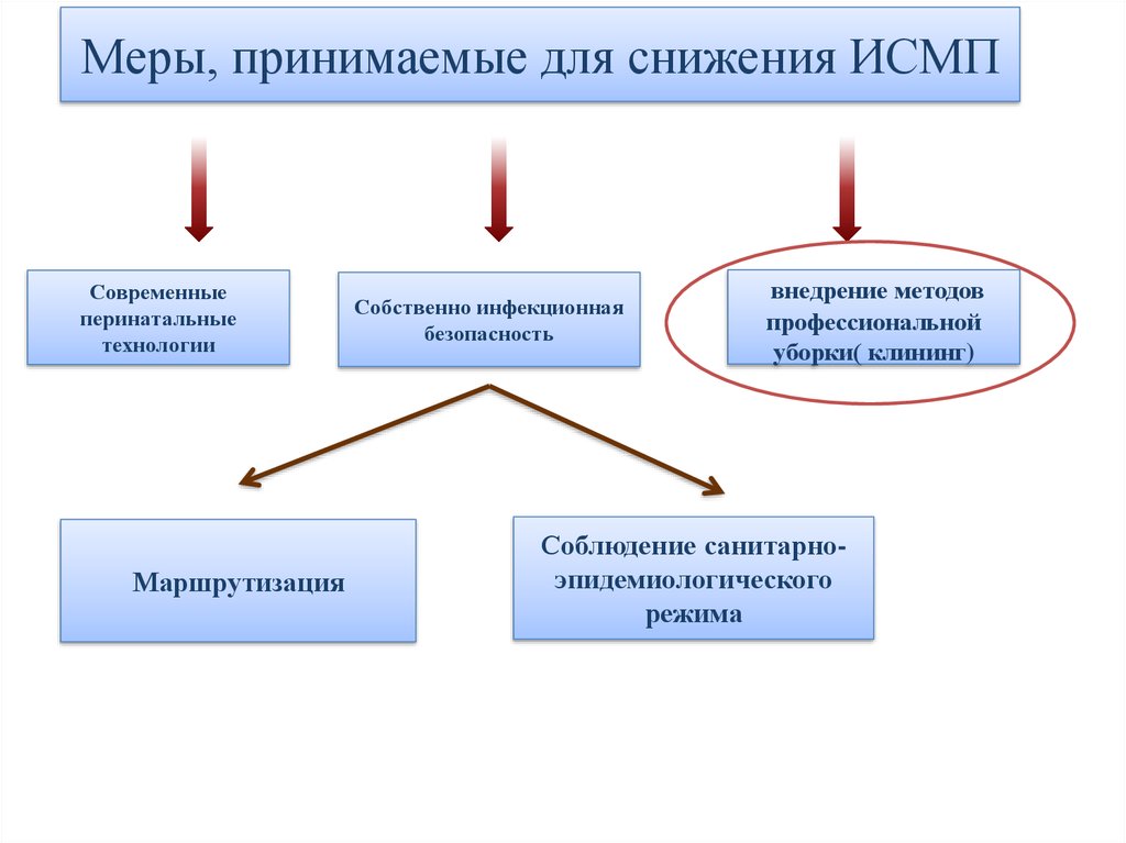 Больничная среда ИСМП. Кластер на тему безопасная Больничная среда.