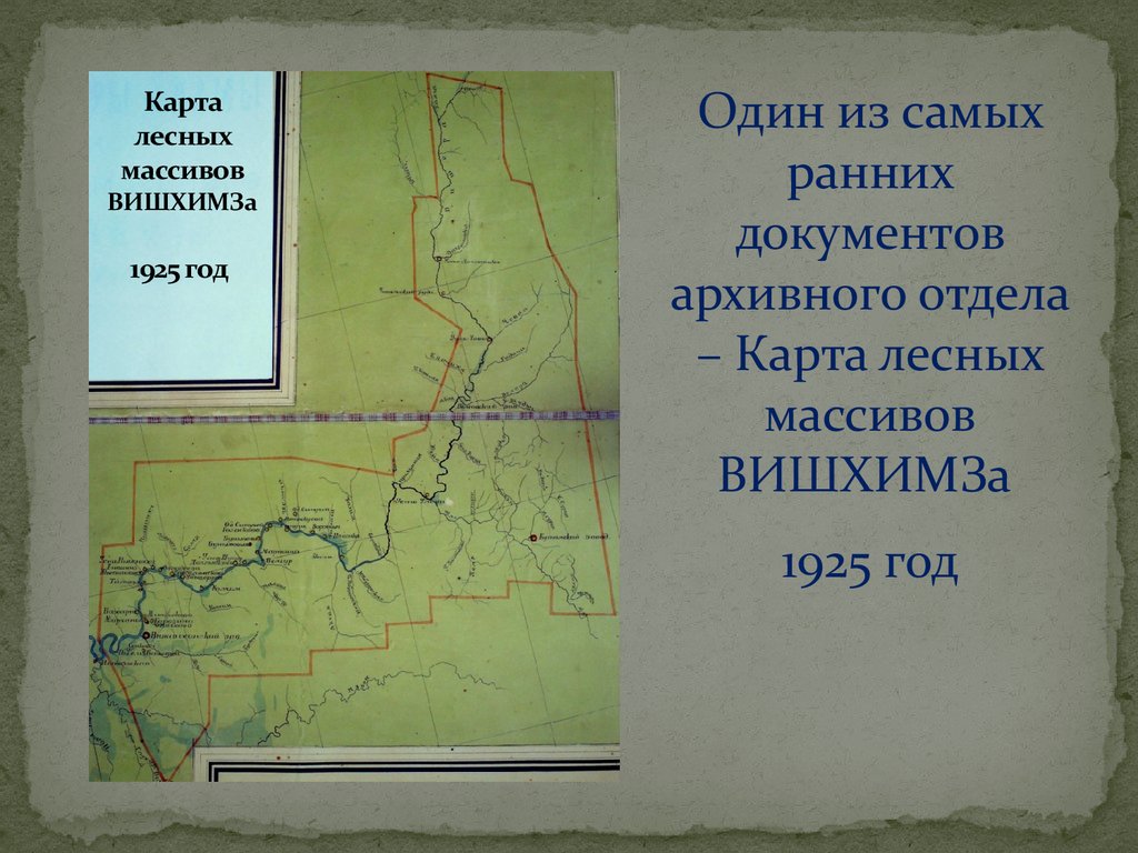 Карта лесных массивов ВИШХИМЗа 1925 год